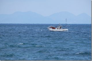 陸からイルカウオッチ(天草旅行2日目)