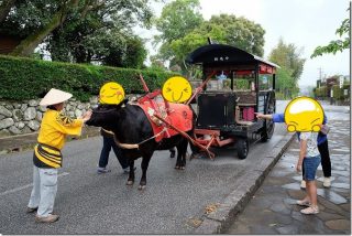 出水の武家屋敷を牛車で巡る(予約・コース・料金・食事など)
