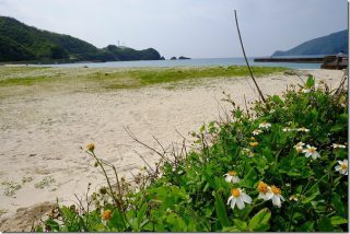 奄美大島 タエン浜海水浴場で水遊び