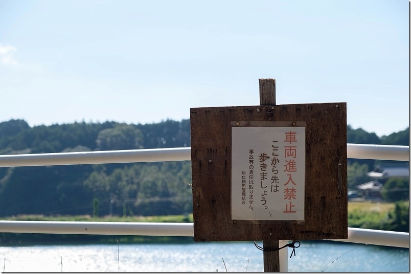 山谷切口棚田のコスモス畑 注意点 農道は車両進入禁止