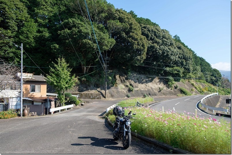 山谷切口棚田のコスモス畑 車を止める場所