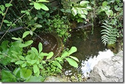 花野季の玄関前
