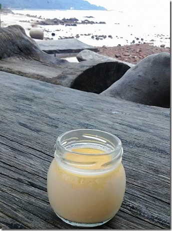 糸島 塩プリン 糸島 塩プリン