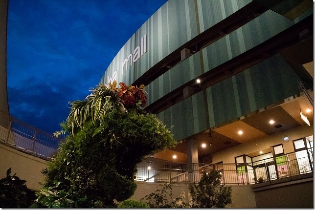 IMG_4991lr IMG_4991lr