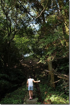 火山頂上へ 火山頂上へ
