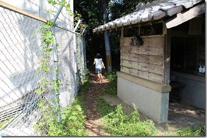 火山頂上? 火山頂上?