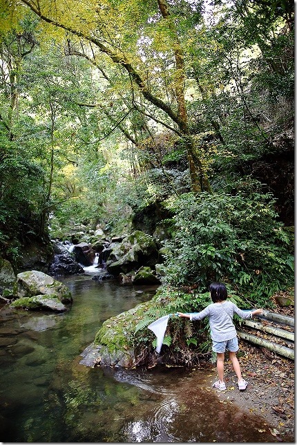 秋の野河内渓谷 入口付近 秋の野河内渓谷 入口付近