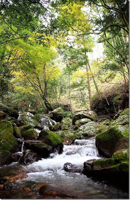 秋の野河内渓谷の紅葉 秋の野河内渓谷の紅葉
