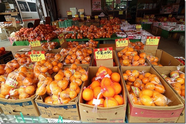 格安のみかん 格安のみかん 糸島 曲り田の里