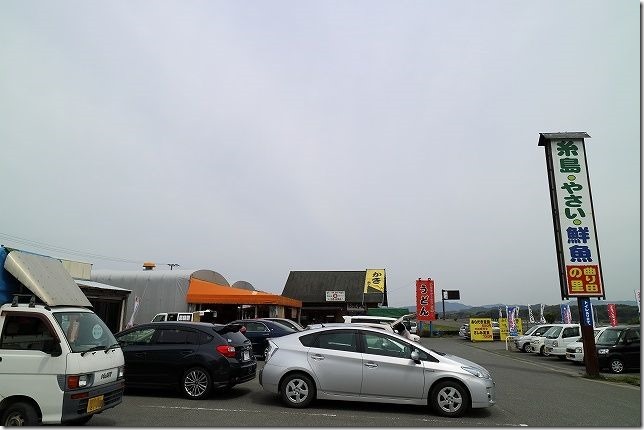 糸島の野菜、鮮魚 糸島の野菜、鮮魚