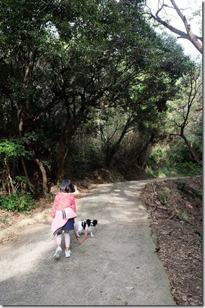 毘沙門山の登山道
