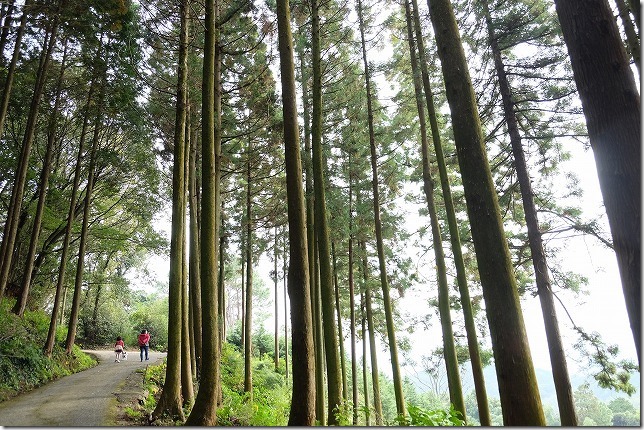 毘沙門山の登山道