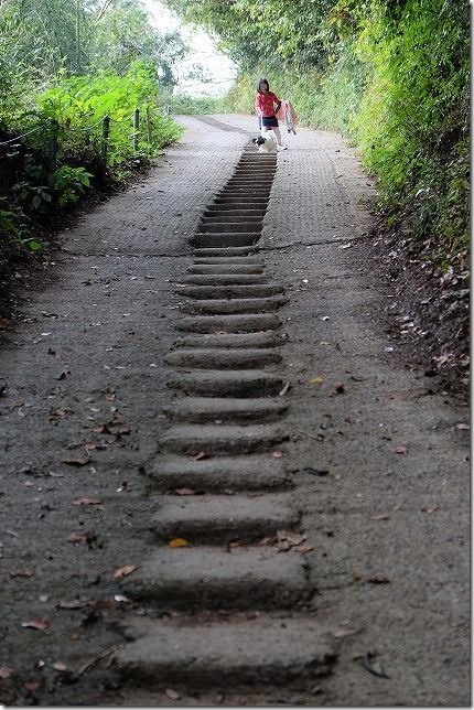 毘沙門山の登山道の階段