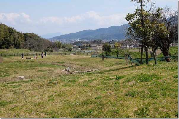 かなたけの里公園の原っぱ