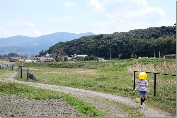 かなたけの里公園付近でツクシ