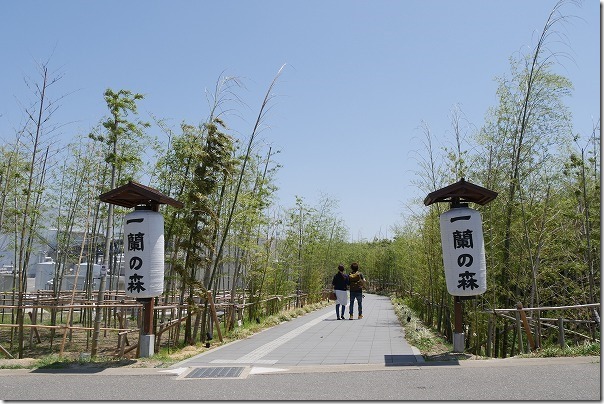 一蘭の森への入り口 一蘭の森への入り口