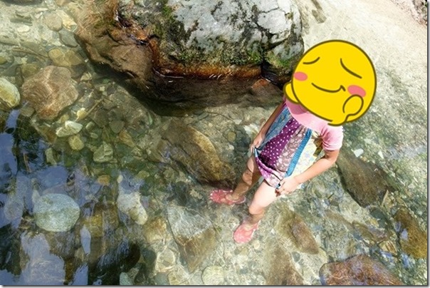 野河内渓谷の綺麗な水