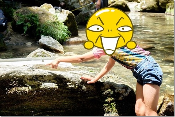 野河内渓谷で子供とトンボ