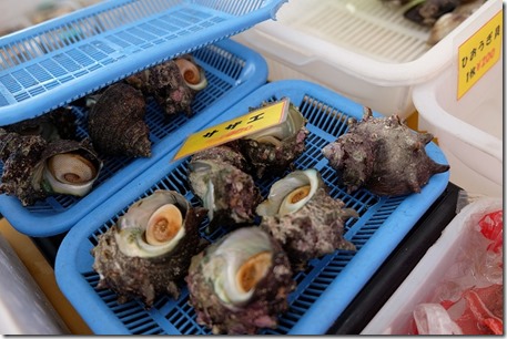 糸島牡蠣小屋、福吉漁港・伸栄丸（佐々木）のサザエ