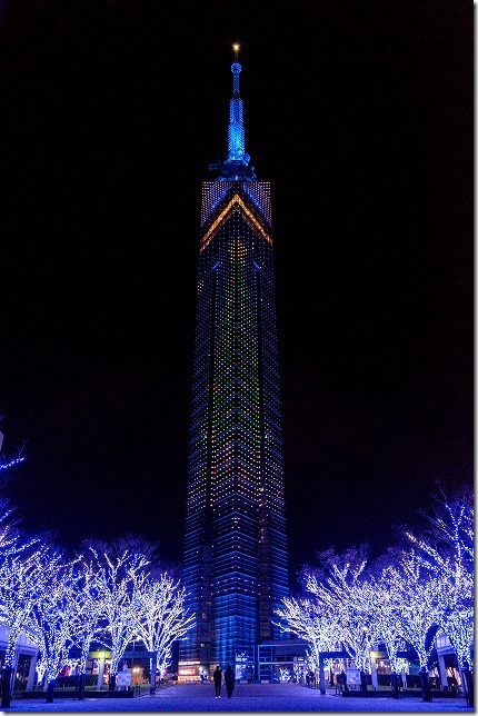 福岡タワーのクリスマスツリーのイルミネーション 福岡タワーのクリスマスツリーのイルミネーション