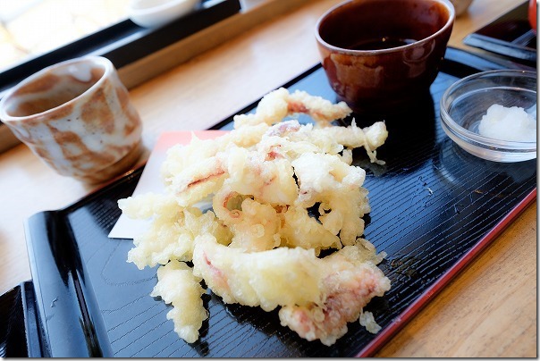 糸島波平のイカ活き造りの天ぷら 糸島波平のイカ活き造りの天ぷら