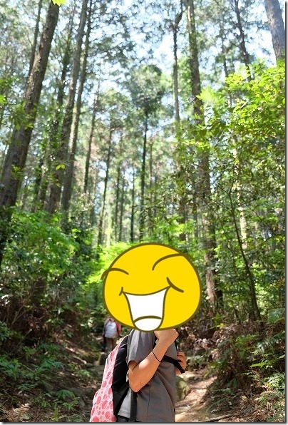 子供と飯盛山の登山開始 子供と飯盛山の登山開始