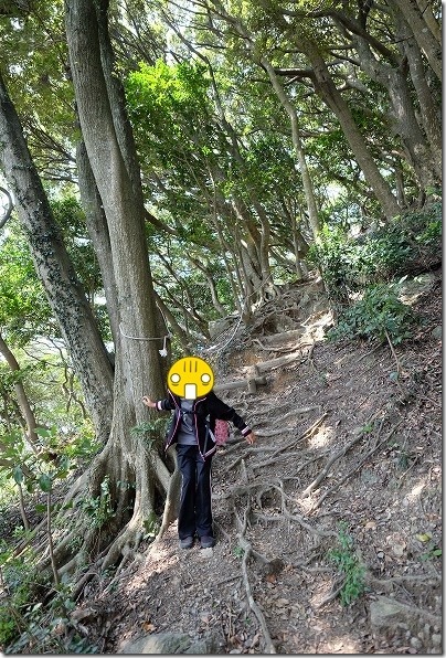 飯盛山山頂から下り