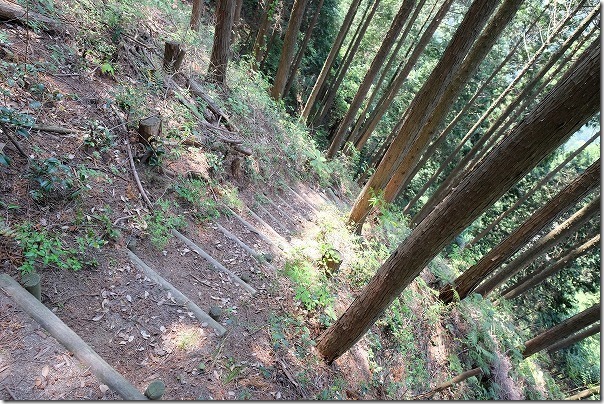 西部霊園に下る道