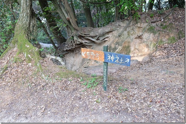 叶岳から野方方面に２ルート