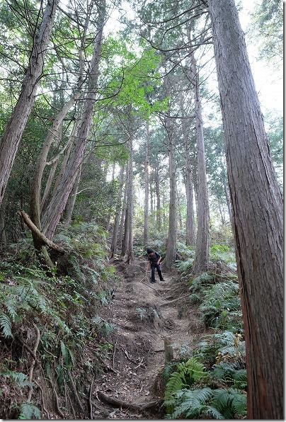 子供と叶岳から野方方面に急勾配