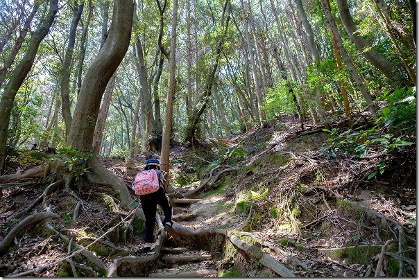 子供と飯盛山登山、ロープ場 子供と飯盛山登山、ロープ場