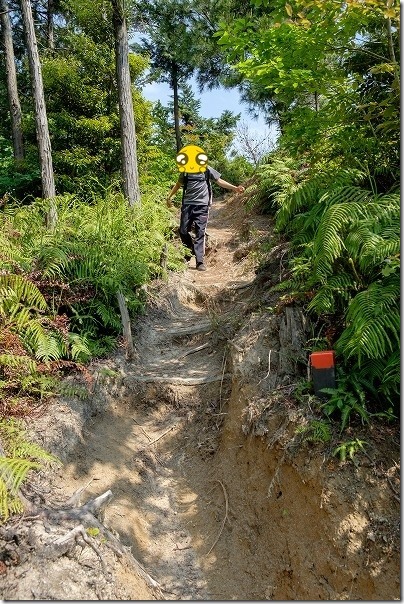 日向山から叶岳