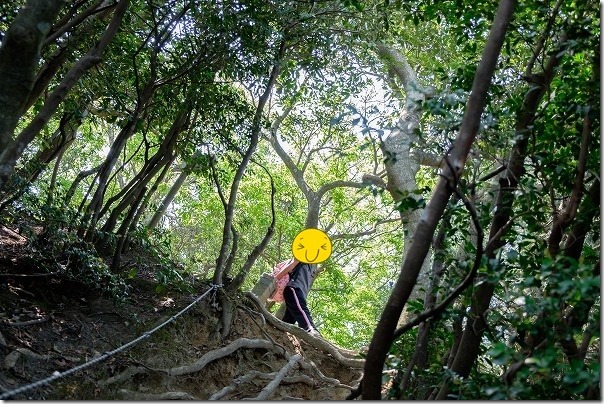 高地山手前のロープ場