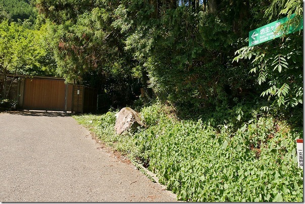 坊主ヶ滝への道