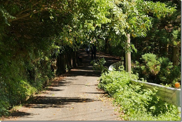 坊主ヶ滝への道