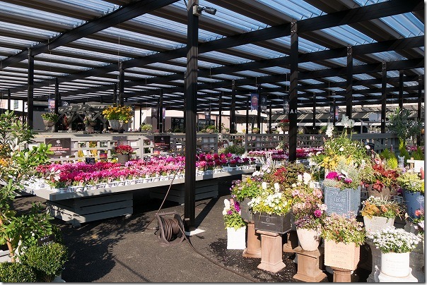 福岡市西区の西の丘にあるガーデニングショップ「エフェクト」お花の品揃え 福岡市西区の西の丘にあるガーデニングショップ「エフェクト」お花の品揃え