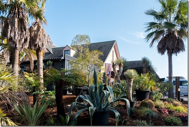 福岡市西区の西の丘にあるガーデニングショップ「エフェクト」 福岡市西区の西の丘にあるガーデニングショップ「エフェクト」