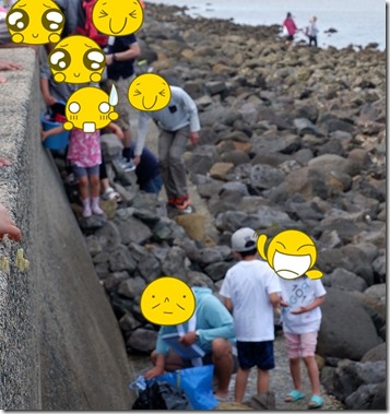 室見川の河口で潮干狩りで河口へ降りる方法