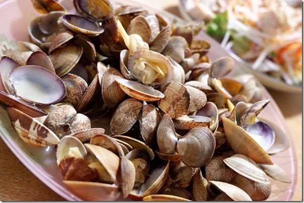 室見川の河口で潮干狩りでアサリを美味しく頂く