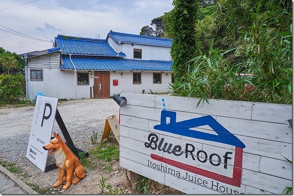 糸島櫻井,ブルールーフ （Blue Roof）