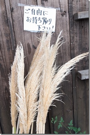 白穂も自由に持ち帰り、深江、えきにくヤンボー