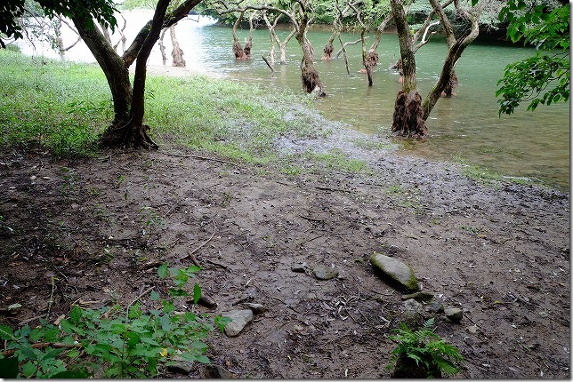 糸島,不動池の縁
