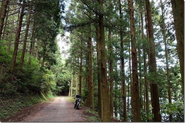 糸島,不動池への道