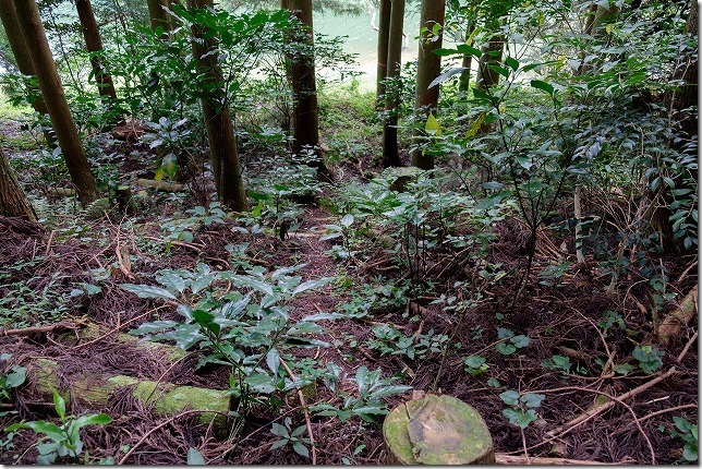 糸島,不動池へ降りていく道