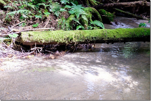 糸島,不動池へそそぐ清流
