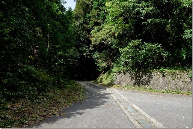 糸島,不動池への道
