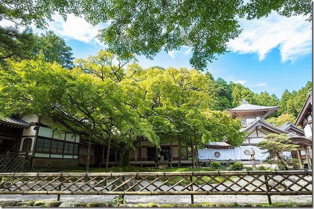 雷山千如寺大悲王院の１０月の大楓