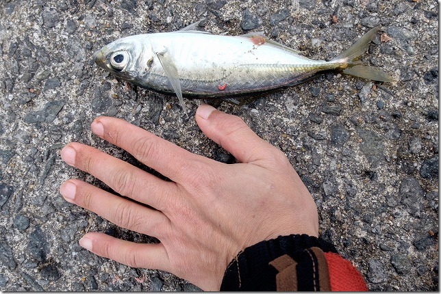 lrDSCF7570-X-T1 lrDSCF7570-X-T1