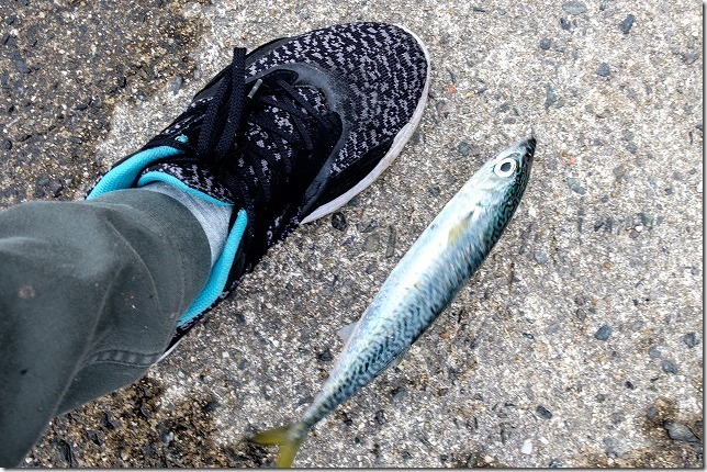 lrDSCF7574-X-T1 lrDSCF7574-X-T1