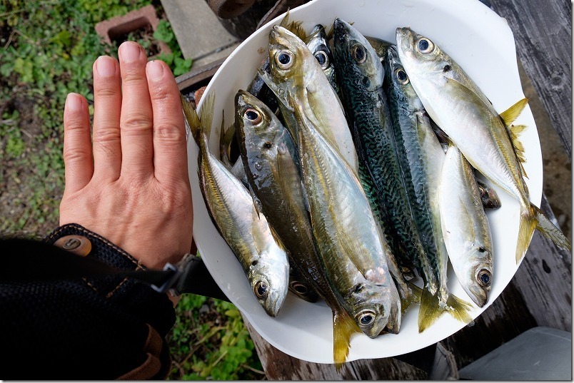 lrDSCF7577-X-T1 lrDSCF7577-X-T1